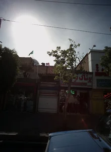 پوشاک نرگس