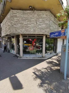گل شهرزاد 4
