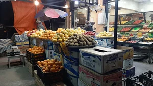 سوپر میوه فرزین
