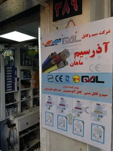 الکترو رعد آسا