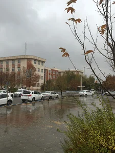 دانشکده علوم پایه