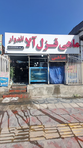 فروش ماهی قزل آلا اندوار