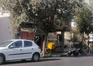 امیر کبابی