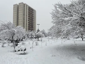 شهرک لویزان یک