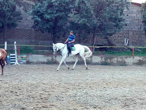 باشگاه سوارکاری سوارکاران غرب