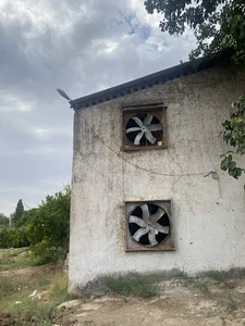 درجزین