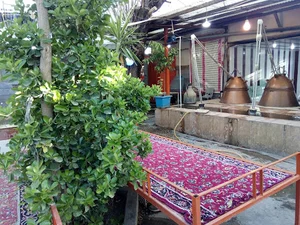 اشک گل قمصر