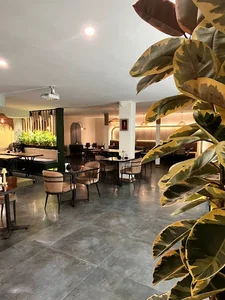 فیش اند چیپس لوکیشن
