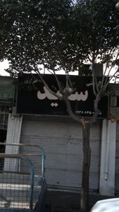 آرایشی خرازی سعید 2