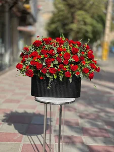 گلسرای ماه گل