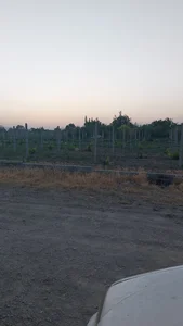 ویلای حمید