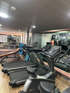 باشگاه مجید 3