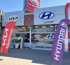 آپارات لاستیک حسینی و پسران