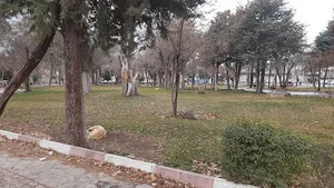 پارک شهید بهشتی