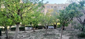 بوستان شادی
