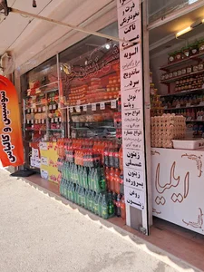 پروتئین ایلیا
