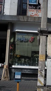 گل مروارید 2