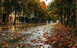 سازمان انتقال خون