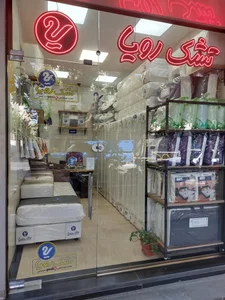 تشک رویا 3