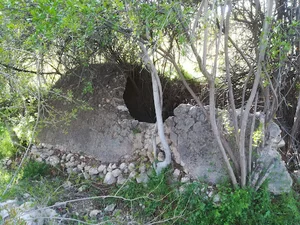 باغ برکه ایی