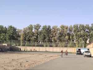 ورزشگاه کوجان