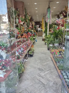 گل همیشه بهار 2