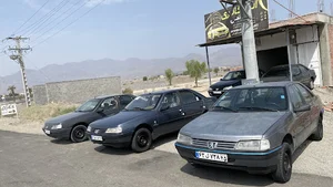 قلعه گنج
