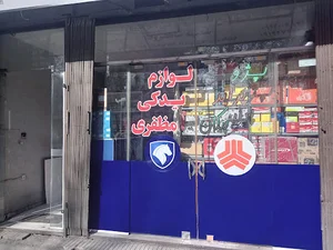 دوربین و دزدگیر پارسیان