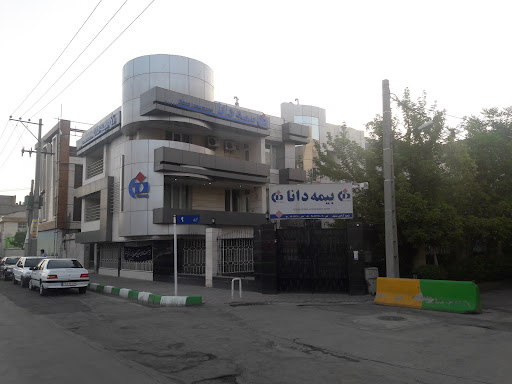 بیمه دانا