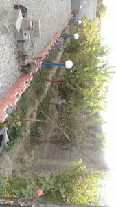 عمارت آریا