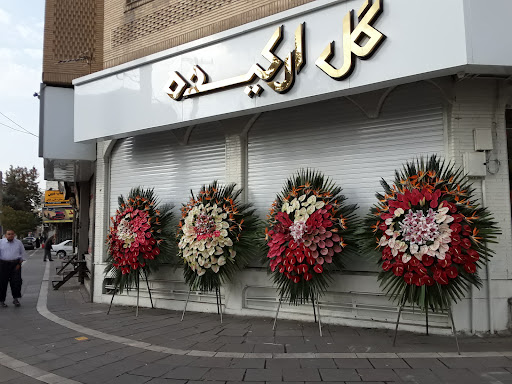 گل ارکیده