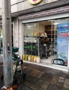 سبزی خردکنی دنیای سبز ریحانه 2