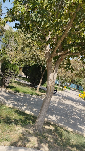 پارک آزادگان