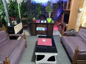 مسکن سینا