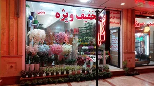 گل قاصدک