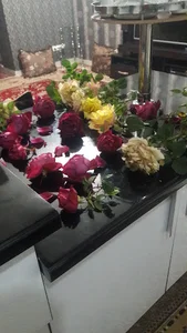 سایت گنوغربی