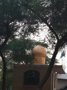 پارک شقایق 5