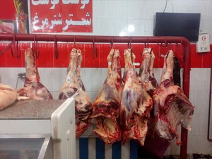 گوشت بهشت نو