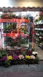 گل فروشی رضا