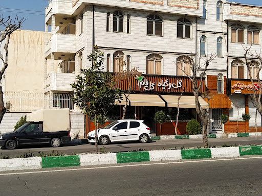 گل و گیاه گلفام