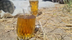 اژانس شبانه روزی گناباد
