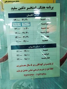 استخر دلفین سفید 2