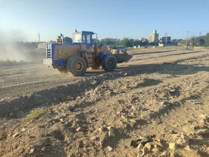 علیرضا بصیری