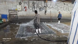 قالیشویی بهشت
