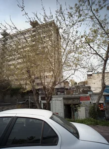 پیتزا پیاده رو 2