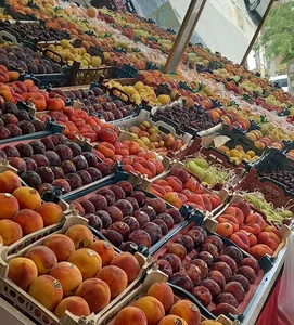 سوپر میوه و سبزی انتیک(سعادت سابق)