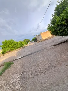 شهرک امام رضا ( دوبندار) اندیمشک
