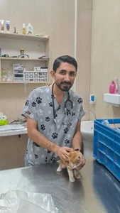 کلینیک دامپزشکی پیوت | PVet Veterinary Clinic 2