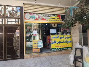 حمید پلاسکو