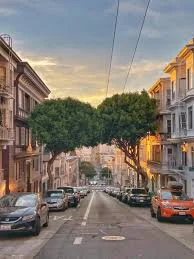 داریوش صیادشیرازی